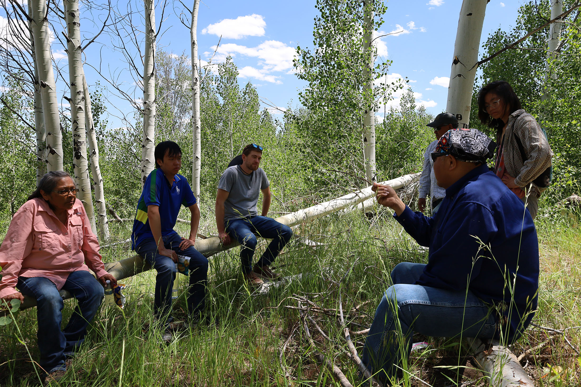 The Mining for the Climate team eats lunch in an aspen grove in the caldera with Day, Myron, and Justina. Photo by Jose Santacruz.