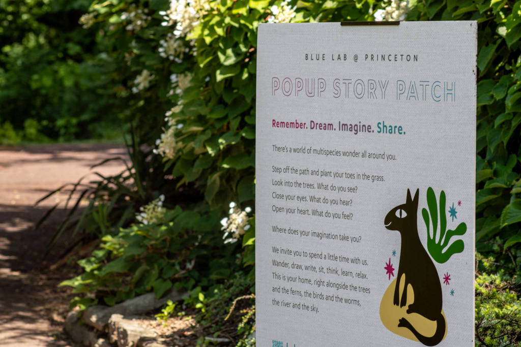 Sign for the Blue Lab Popup Story Patch at Morris Arboretum