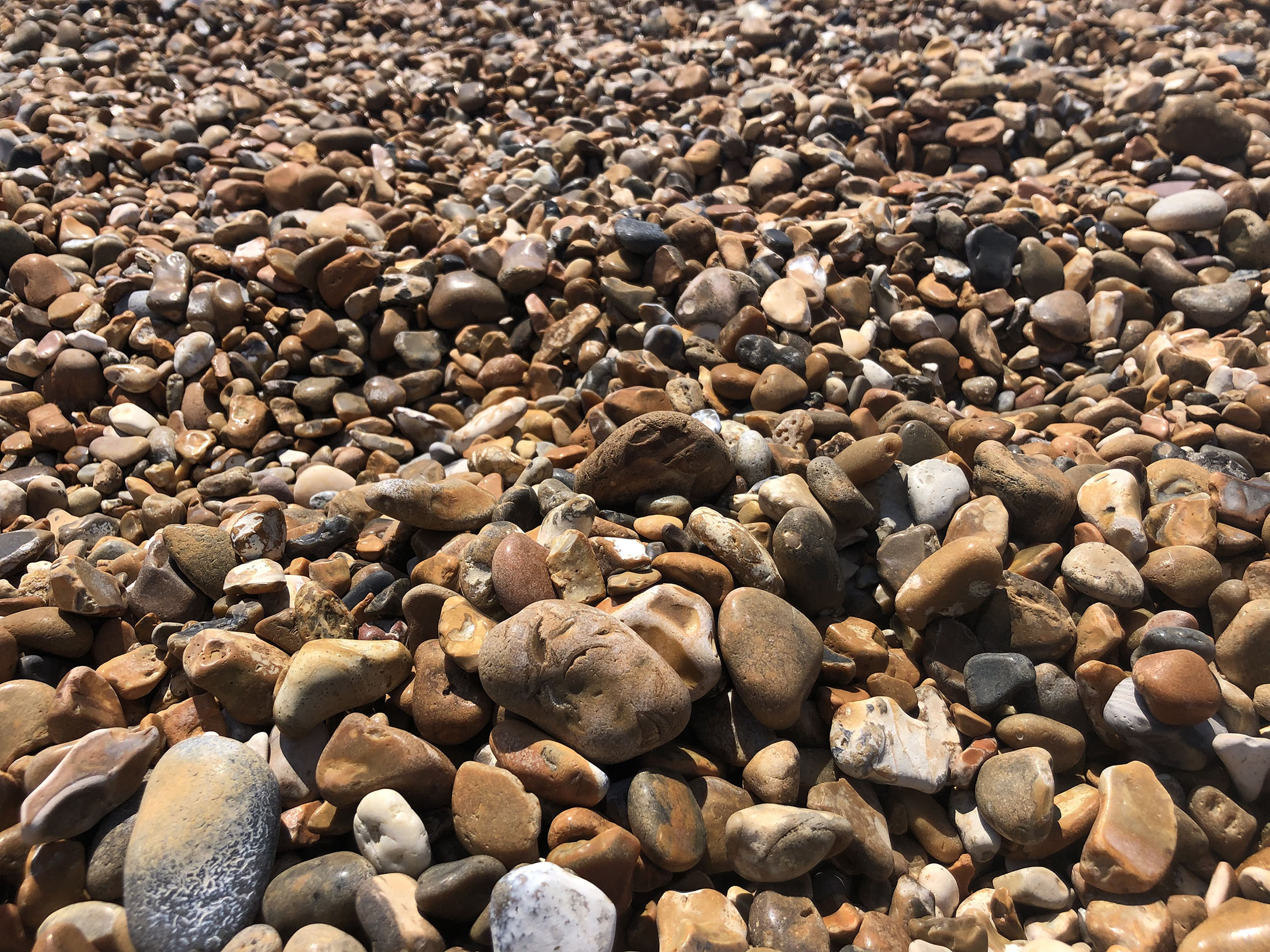 Shingle street. Photo by Kyra Morris.