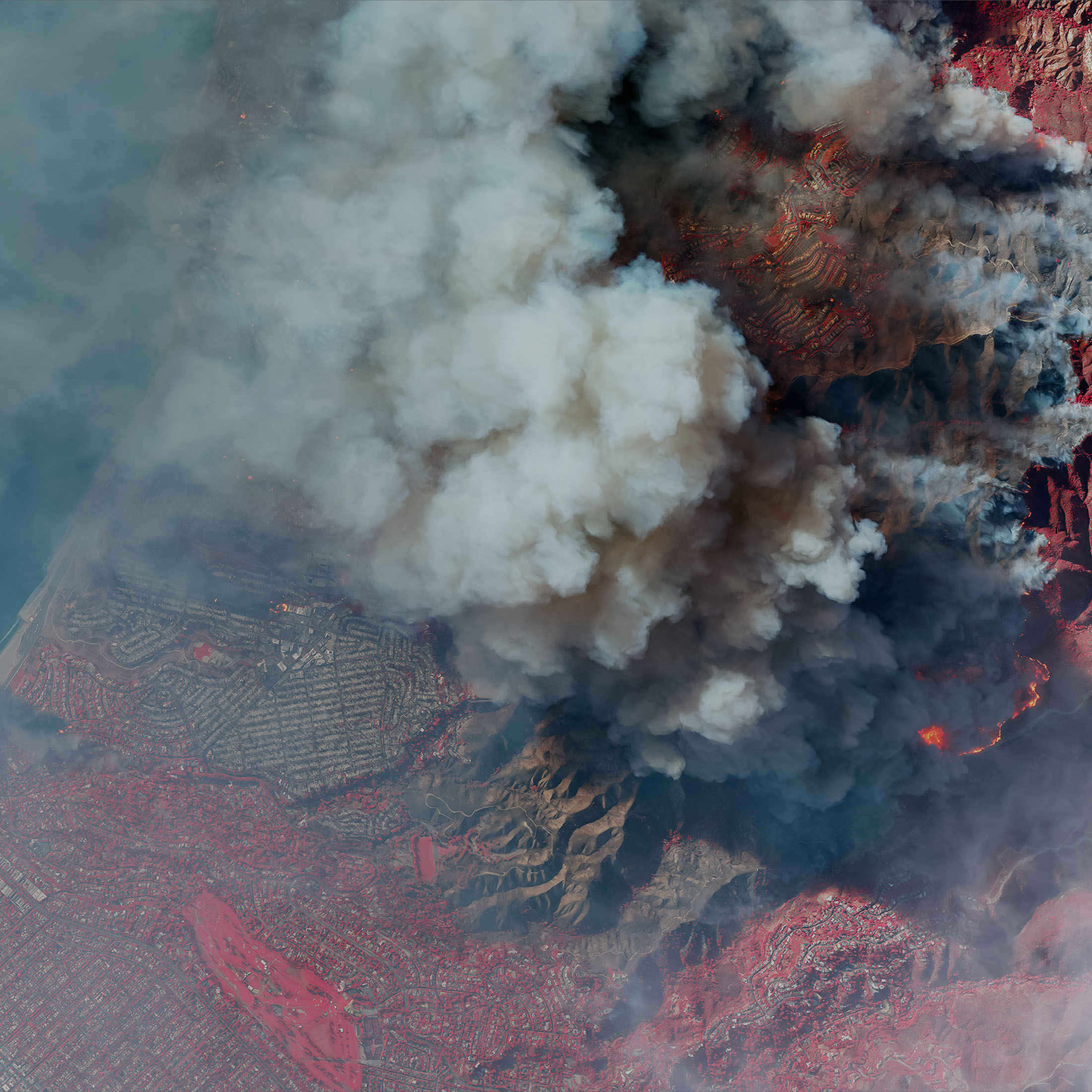 project-palisades-fire-cover-no-logo