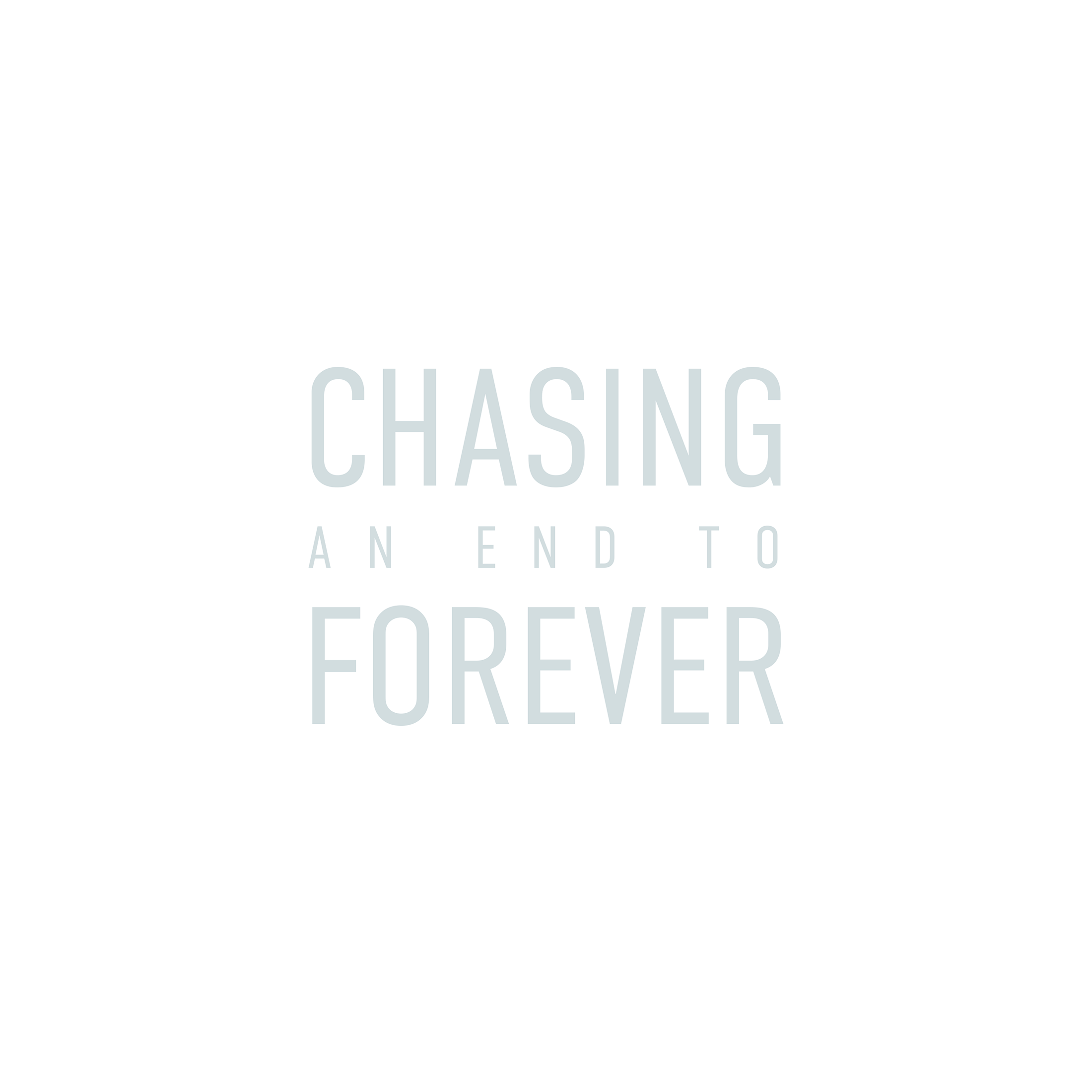 chasing-an-end-to-forever-website-title